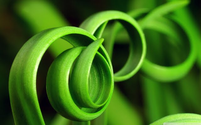 Biology Project  from Chrome web store to be run with OffiDocs Chromium online