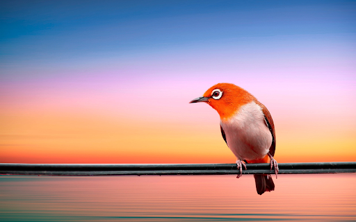 Bird on the wire  from Chrome web store to be run with OffiDocs Chromium online