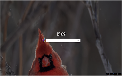 Birds Backgrounds  from Chrome web store to be run with OffiDocs Chromium online