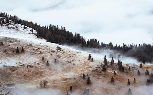 Birds Eye View of a Foggy Landscape  from Chrome web store to be run with OffiDocs Chromium online
