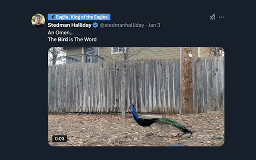 Birdtag  from Chrome web store to be run with OffiDocs Chromium online