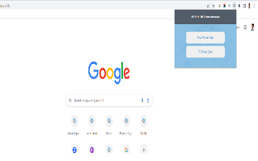 Bizzflo NICS Extension  from Chrome web store to be run with OffiDocs Chromium online