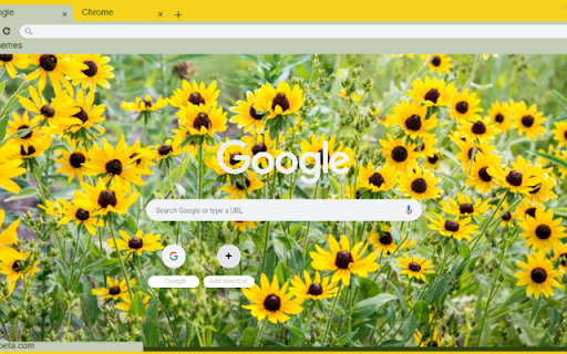 Black eyed Susan  from Chrome web store to be run with OffiDocs Chromium online