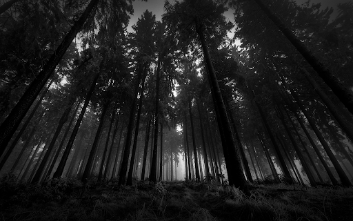 Black Wood Browser Theme  from Chrome web store to be run with OffiDocs Chromium online