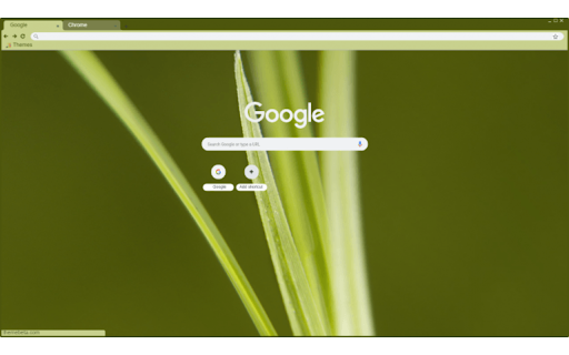blades of grass  from Chrome web store to be run with OffiDocs Chromium online