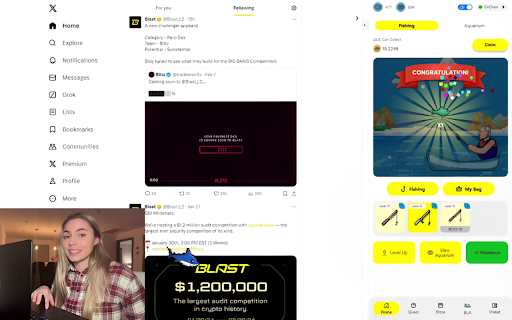 BLAqua  from Chrome web store to be run with OffiDocs Chromium online