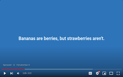 Block Youtube Ads  from Chrome web store to be run with OffiDocs Chromium online
