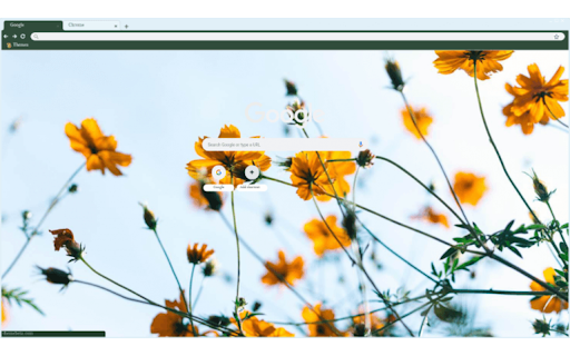 Bloom Flowers  from Chrome web store to be run with OffiDocs Chromium online