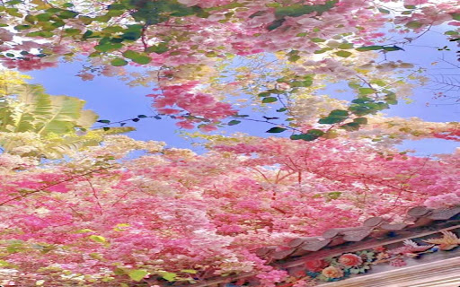 blooming paper flower wallpaper  from Chrome web store to be run with OffiDocs Chromium online