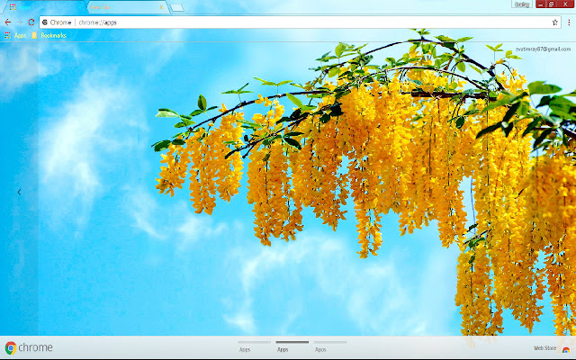 Blossom Colorful Spring Sunny Yellow  from Chrome web store to be run with OffiDocs Chromium online