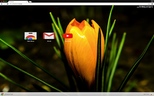 Blossom Theme  from Chrome web store to be run with OffiDocs Chromium online