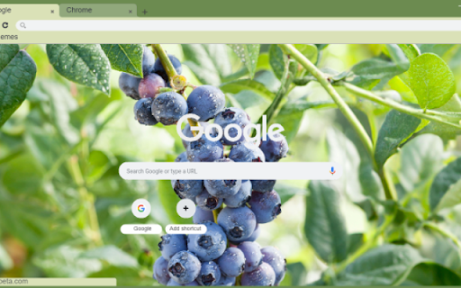 Blueberry Tree  from Chrome web store to be run with OffiDocs Chromium online