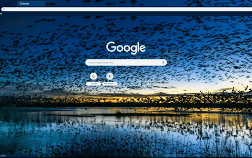 Blue Bird Skies  from Chrome web store to be run with OffiDocs Chromium online