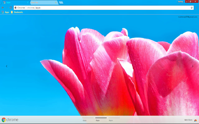 Blue Colorful Flower Petal Pink de Chrome web store se ejecutará con OffiDocs Chromium en línea