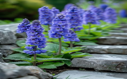 Blue delphinium wallpaper  from Chrome web store to be run with OffiDocs Chromium online