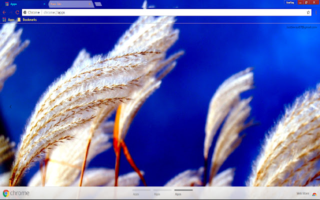 Blue Feather Grass Nature  from Chrome web store to be run with OffiDocs Chromium online