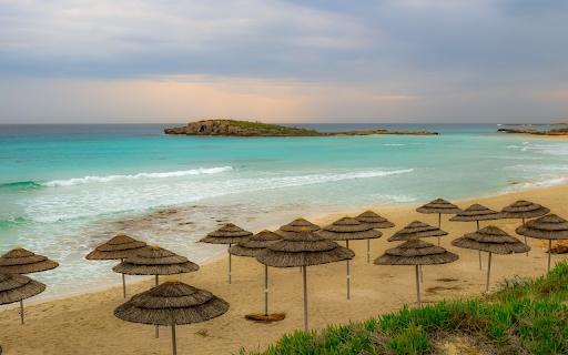 Blue sea and mushrooms  from Chrome web store to be run with OffiDocs Chromium online