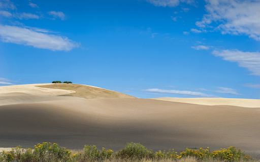 Blue sky and white sand  from Chrome web store to be run with OffiDocs Chromium online
