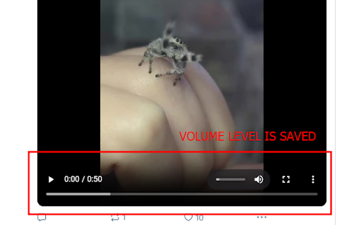 Bluesky Better Video and Volume controls  from Chrome web store to be run with OffiDocs Chromium online