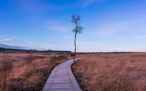 Boardwalk Through the Moor  from Chrome web store to be run with OffiDocs Chromium online