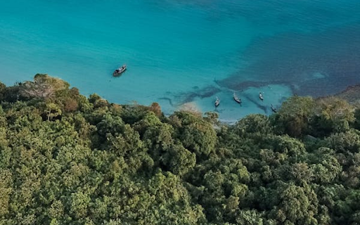 Boat moored on the beach  from Chrome web store to be run with OffiDocs Chromium online