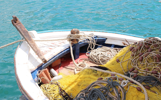 Boats and fishing nets  from Chrome web store to be run with OffiDocs Chromium online
