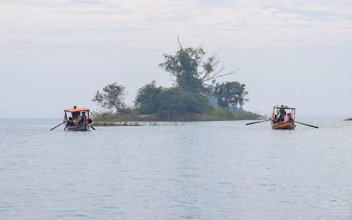 boats and tourists  from Chrome web store to be run with OffiDocs Chromium online
