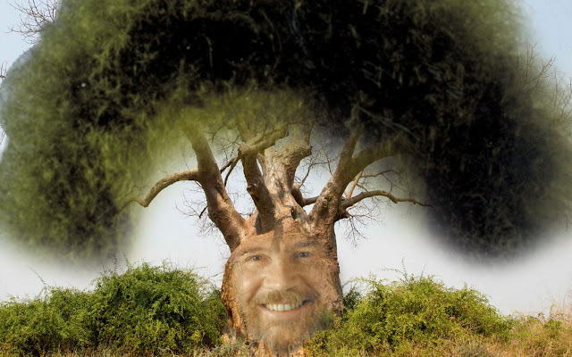 Bob Ross as a tree.  from Chrome web store to be run with OffiDocs Chromium online
