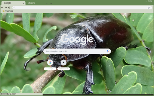 Bo Canh Cung  from Chrome web store to be run with OffiDocs Chromium online