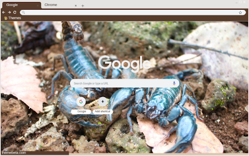 Bo cap xanh  from Chrome web store to be run with OffiDocs Chromium online