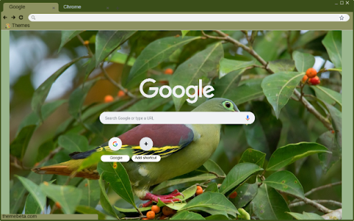 Bo Cau Canh Xanh from Chrome web store to be run with OffiDocs Chromium online Bo Cau Canh Xanh from Chrome web store to be run with OffiDocs Chromium online