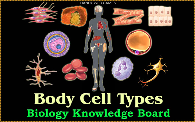 Body Cell Types  from Chrome web store to be run with OffiDocs Chromium online