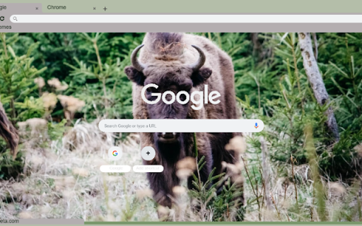 Bo Hoang  from Chrome web store to be run with OffiDocs Chromium online