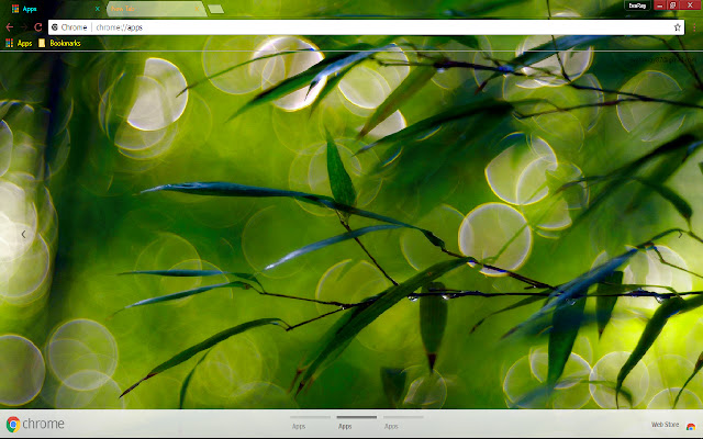 Bokeh Dew Drop Green Leaf  from Chrome web store to be run with OffiDocs Chromium online