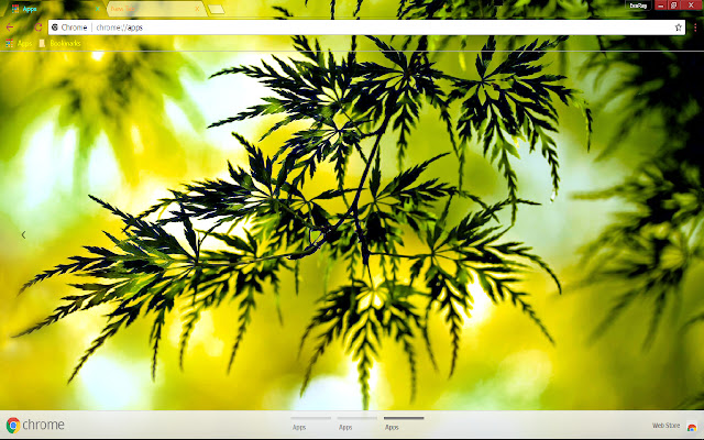 Bokeh Fall Green Leaf Nature  from Chrome web store to be run with OffiDocs Chromium online