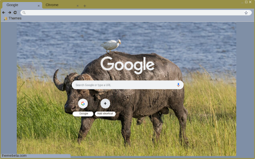 Bo ma  from Chrome web store to be run with OffiDocs Chromium online