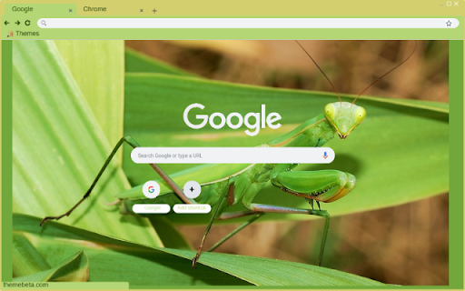 Bo Ngua  from Chrome web store to be run with OffiDocs Chromium online