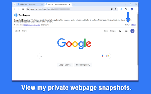 Bookmark with full page screenshots YesKeeper Clipper  from Chrome web store to be run with OffiDocs Chromium online