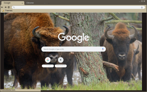 Bo rung  from Chrome web store to be run with OffiDocs Chromium online