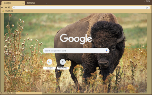Bo rung chau My  from Chrome web store to be run with OffiDocs Chromium online