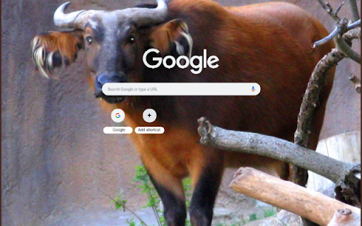 Bo rung Chau Phi  from Chrome web store to be run with OffiDocs Chromium online