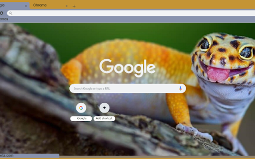 Bo sat da  from Chrome web store to be run with OffiDocs Chromium online