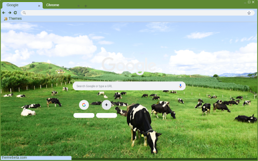 Bo sua  from Chrome web store to be run with OffiDocs Chromium online