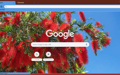 Bottlebrush  from Chrome web store to be run with OffiDocs Chromium online