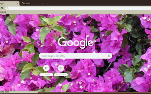 Bougainvillea  from Chrome web store to be run with OffiDocs Chromium online