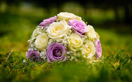 Bouquet of flowers on the lawn  from Chrome web store to be run with OffiDocs Chromium online