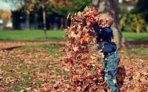 Boy playing with dry leaves  from Chrome web store to be run with OffiDocs Chromium online