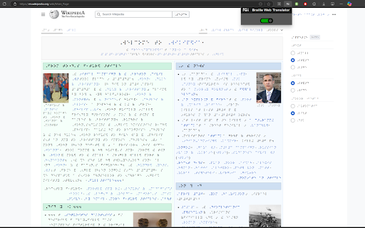 Braille Web Translator  from Chrome web store to be run with OffiDocs Chromium online