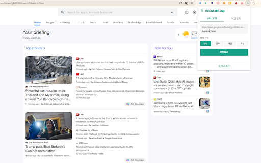 BrainLabeling  from Chrome web store to be run with OffiDocs Chromium online