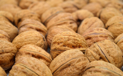 Brain nourishing food  from Chrome web store to be run with OffiDocs Chromium online